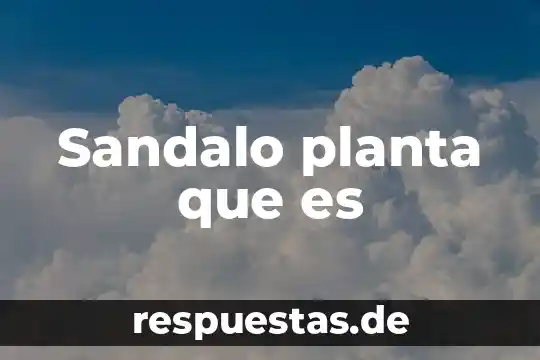 ¿Qué es árbol planta hulífera? 3 Sandalo planta que es
