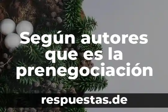 Que es negociacion segun autores 6 Según autores que es la prenegociación