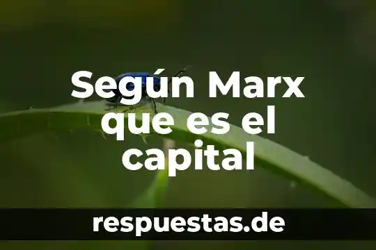 Que es ek valor de uso marx 5 Según Marx que es el capital