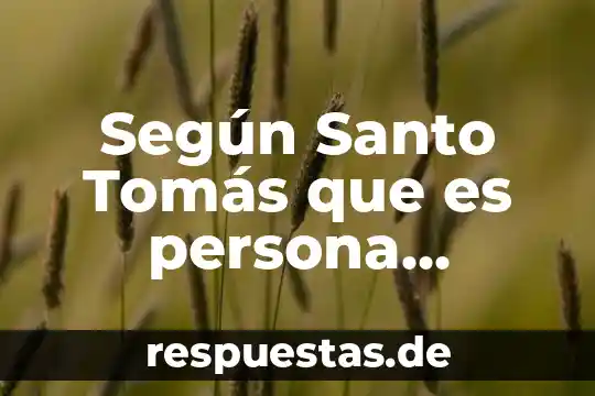 Qué es número de tomas 3 Según Santo Tomás que es persona humana
