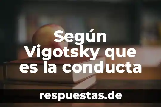 Que es ludica segun vigotsky 3 Según Vigotsky que es la conducta