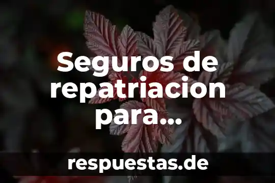 Conciencia social que es 5 Seguros de repatriacion para estudiantes que es