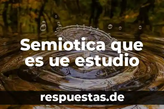 Qué es filosofía del lenguaje y semiótica 3 Semiotica que es ue estudio