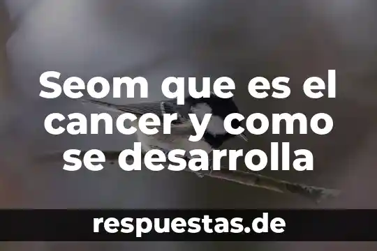 Qué es teoría lingüística 8 Seom que es el cancer y como se desarrolla