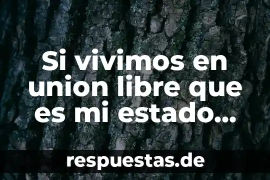 Que es principio de libre concurrencia y competencia 7 Si vivimos en union libre que es mi estado civil