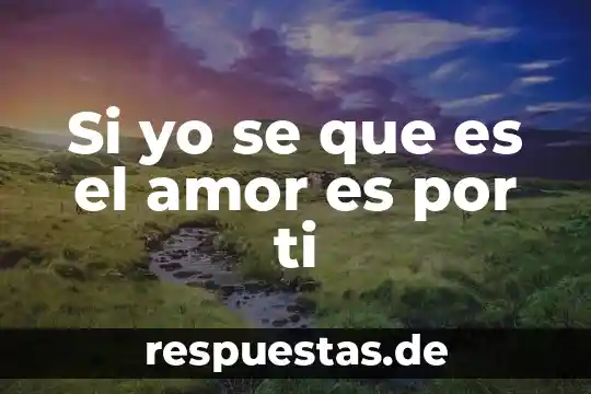 Que es significa hacer el amor 7 Si yo se que es el amor es por ti