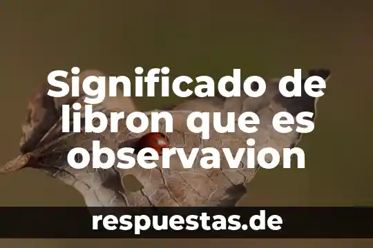 Que es granate significado 5 Significado de libron que es observavion