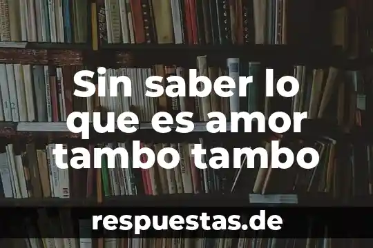 Para que me sirve saber que es un argumento 4 Sin saber lo que es amor tambo tambo