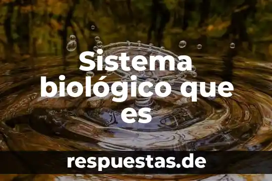 Sistema ético que es definición 7 Sistema biológico que es