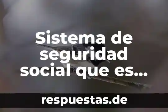 Que es un movimiento social coyuntural 3 Sistema de seguridad social que es sis