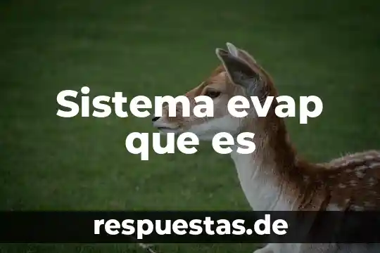 Qué es el concepto de unicornio 3 Sistema evap que es