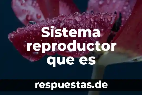 Sistema reproductor femenino que es 8 Sistema reproductor que es