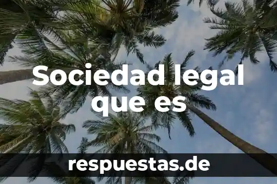Que es una excepción en derecho 5 Sociedad legal que es