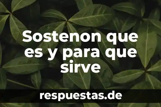 Que es y para que sirve el conocimiento de embarque 7 Sostenon que es y para que sirve