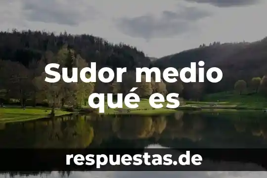 Qué es medio de palmtop 4 Sudor medio qué es