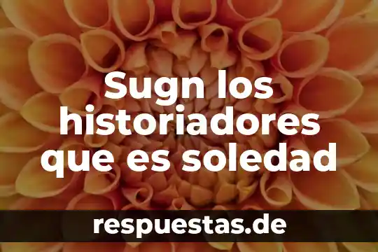 Que es la soledad significado 6 Sugn los historiadores que es soledad