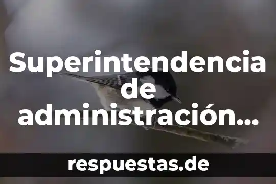 Qué es el principio de exclusividad en materia tributaria 3 Superintendencia de administración tributaria que es