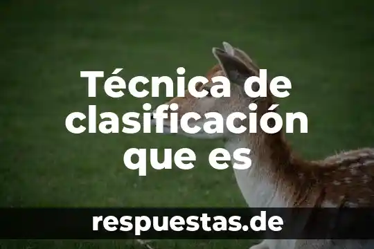 Qué es una técnica y cuáles son 4 Técnica de clasificación que es