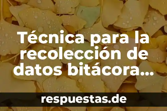 Qué es la teoría de datos 7 Técnica para la recolección de datos bitácora que es