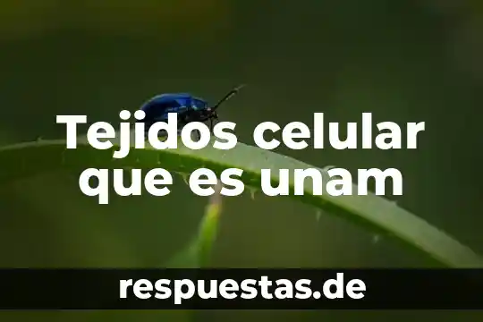 Tejidos celular que es unam