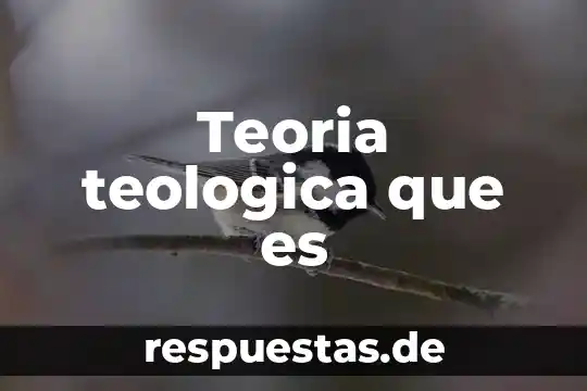 Qué es la teoría de permutaciones y combinaciones 8 Teoria teologica que es