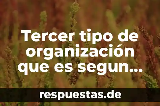 Qué es un tipo o filo de animal 5 Tercer tipo de organización que es segun los fines