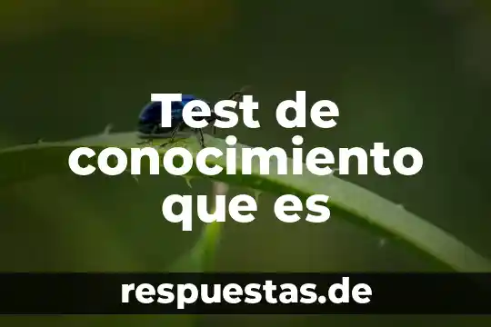 Qué es el conocimiento y el aprendizaje 3 Test de conocimiento que es