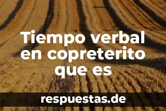 Qué es el razonamiento verbal y para qué sirve 3 Tiempo verbal en copreterito que es