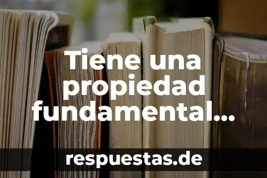 Qué es la teoría jurídica fundamental 8 Tiene una propiedad fundamental que es la carga eléctrica