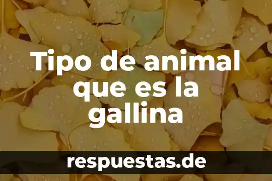 Tipo de animal que es la oruga 5 Tipo de animal que es la gallina