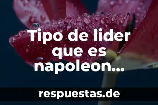 Qué es líder planta de amapola 4 Tipo de lider que es napoleon bonaparte
