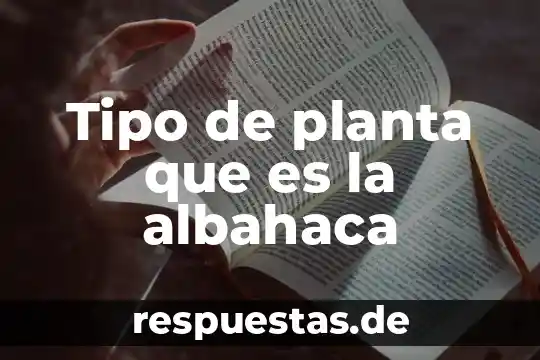 El hecho de boston planta y que es 4 Tipo de planta que es la albahaca