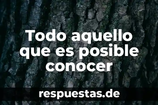 Wsxws que es 4 Todo aquello que es posible conocer