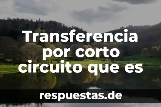 Qué es etnia concepto corto 5 Transferencia por corto circuito que es