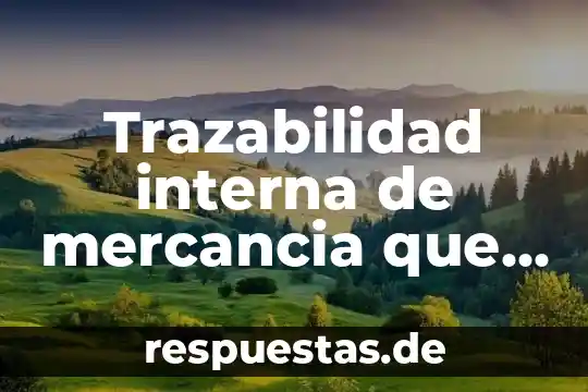 Que es la reman interna en una institucion 5 Trazabilidad interna de mercancia que es