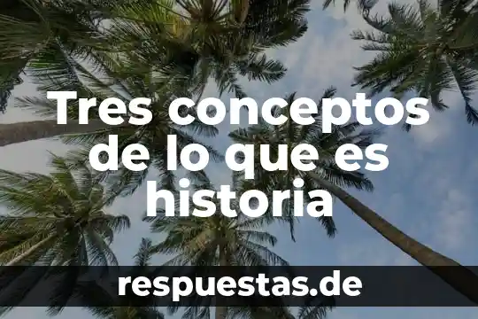 Conceptos de programas psicopedagogicos que es 8 Tres conceptos de lo que es historia