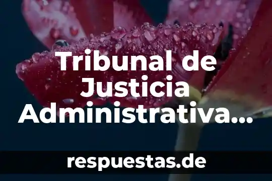 Qué es la justicia según Jeremy Bentham 8 Tribunal de Justicia Administrativa que es