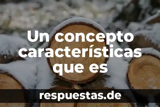 Qué es ser emprendedor y sus características 6 Un concepto características que es