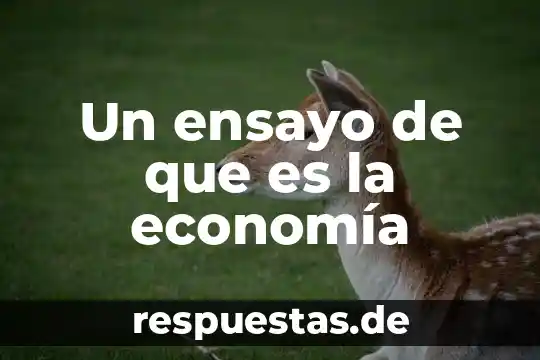 Resultados del ensayo que es ser joven en la cdmx 7 Un ensayo de que es la economía