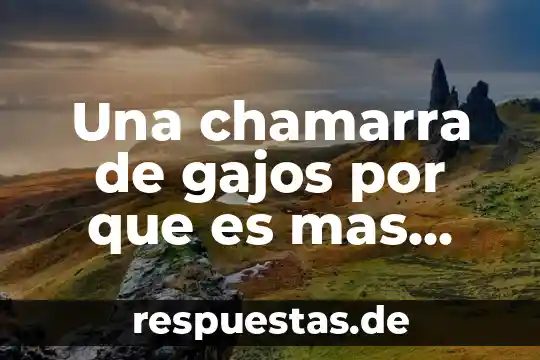 Una chamarra de gajos por que es mas cara