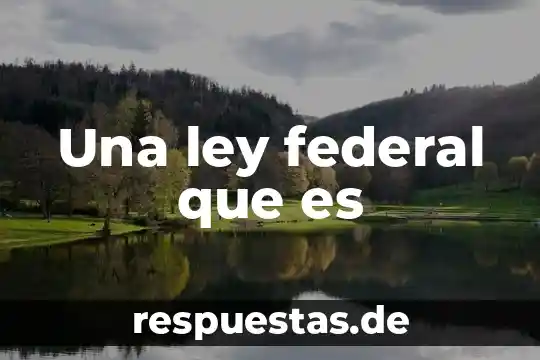 Qué es delito federal en México 8 Una ley federal que es