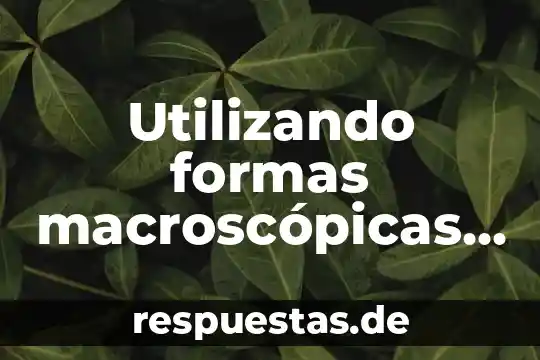 Que es mandala en formas de avesatrapasueños para colorear 3 Utilizando formas macroscópicas de vegetación acuática que es