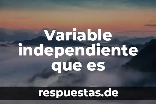 Que es un proyecto de vida independiente 4 Variable independiente que es