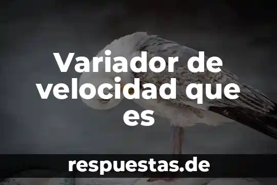 Que es velocidad y rapidez fisica 4 Variador de velocidad que es