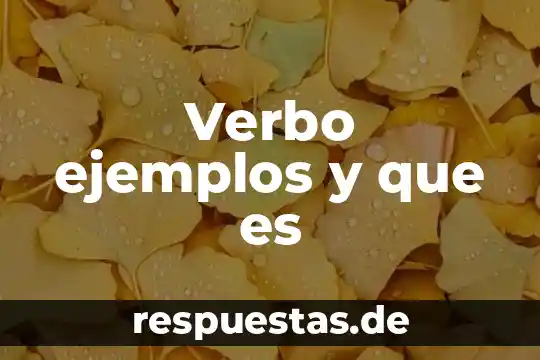 Verbo ejemplos y que es