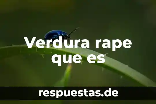 Qué es intrepido en filosofía 3 Verdura rape que es