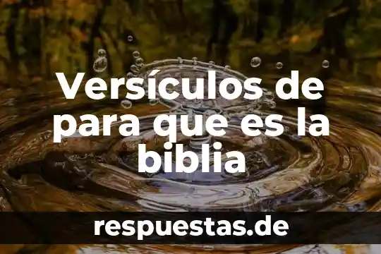 Biblia que es el seno de abraham 8 Versículos de para que es la biblia