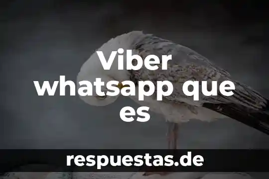 Que es estar en linea whatsapp 4 Viber whatsapp que es