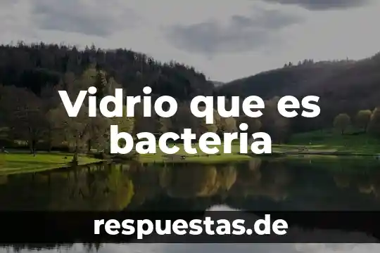 Vidrio color ambar para que es 8 Vidrio que es bacteria