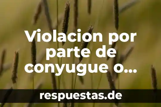 Que es parte osea 7 Violacion por parte de conyugue o parejas que es
